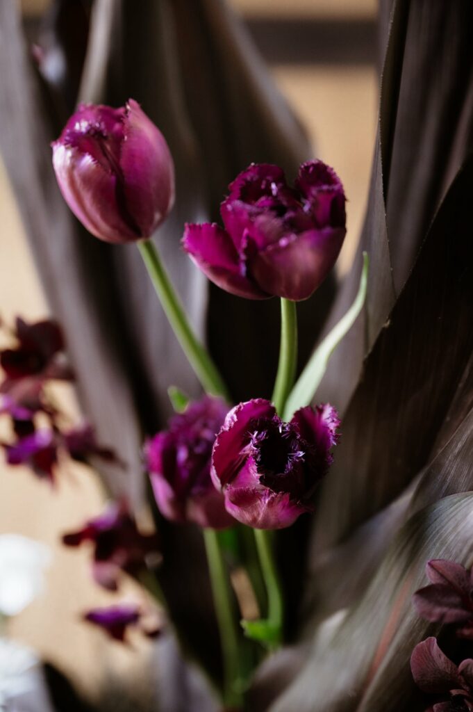 Mariage alternatif Lille