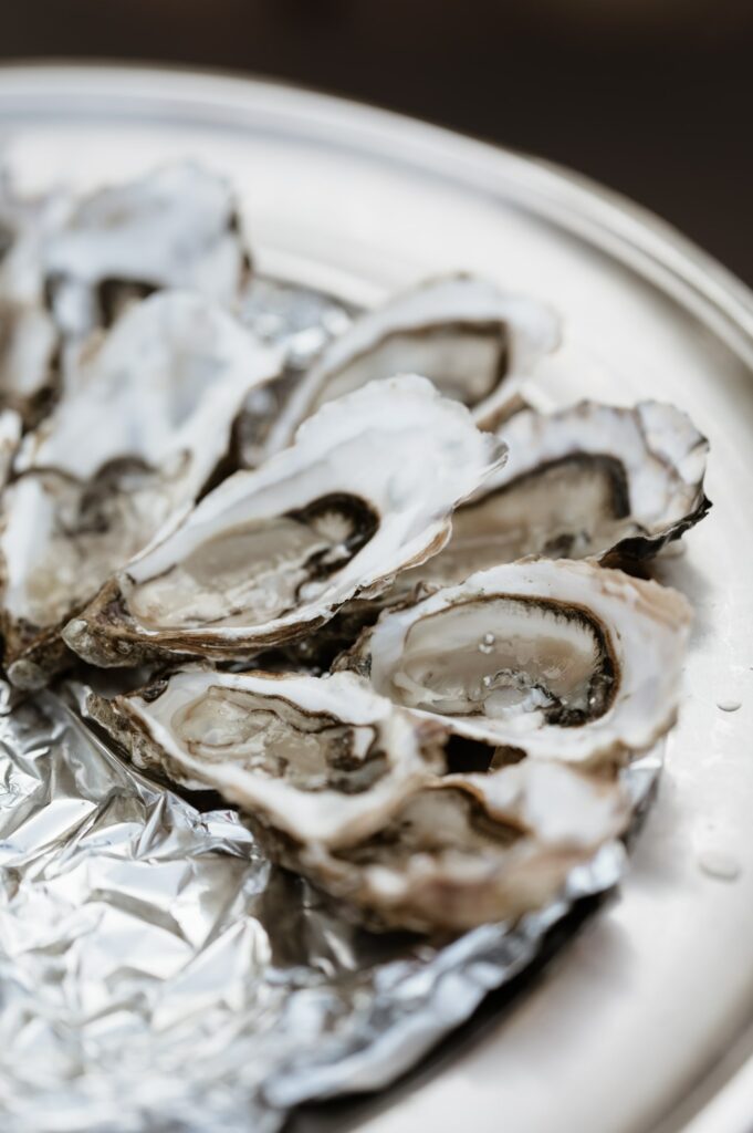 Photographe Lille Nord