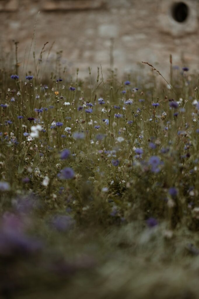Lieu réception rennemoulin