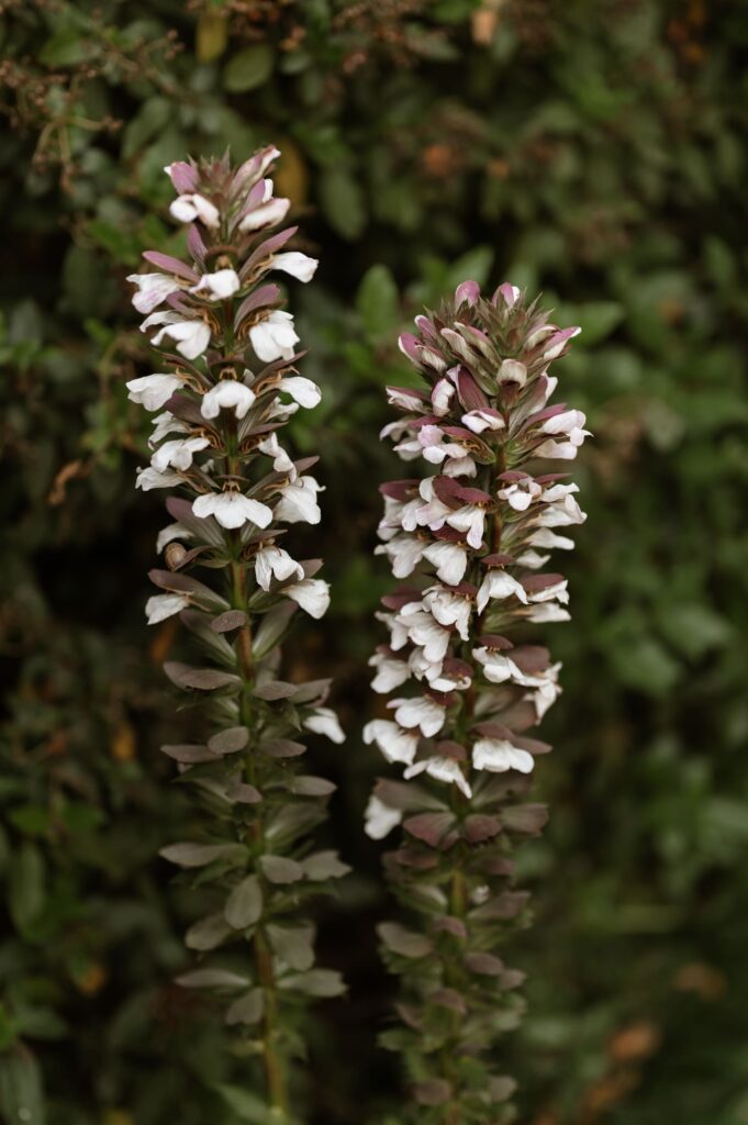 Détails de votre mariage