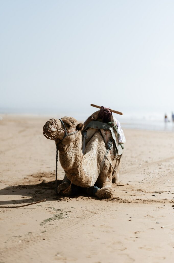Photographe retraite yoga