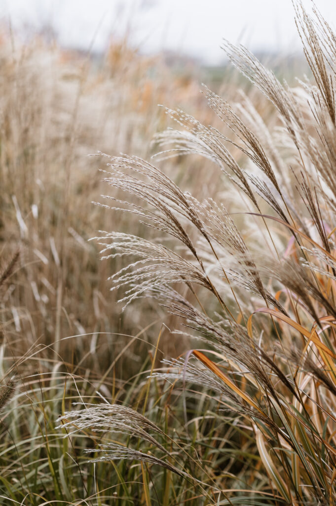 Photographe yoga studio