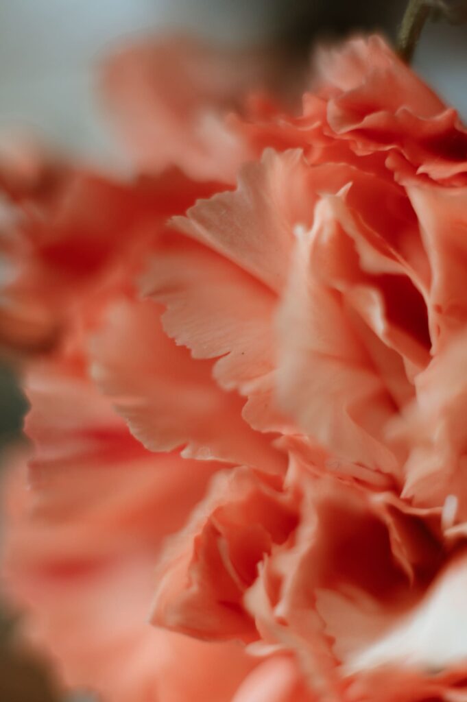 Fleurs bouquet mariée