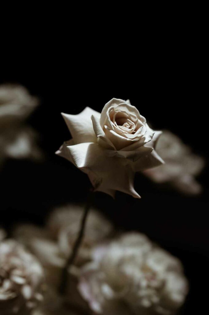 Mariage laïque surprise