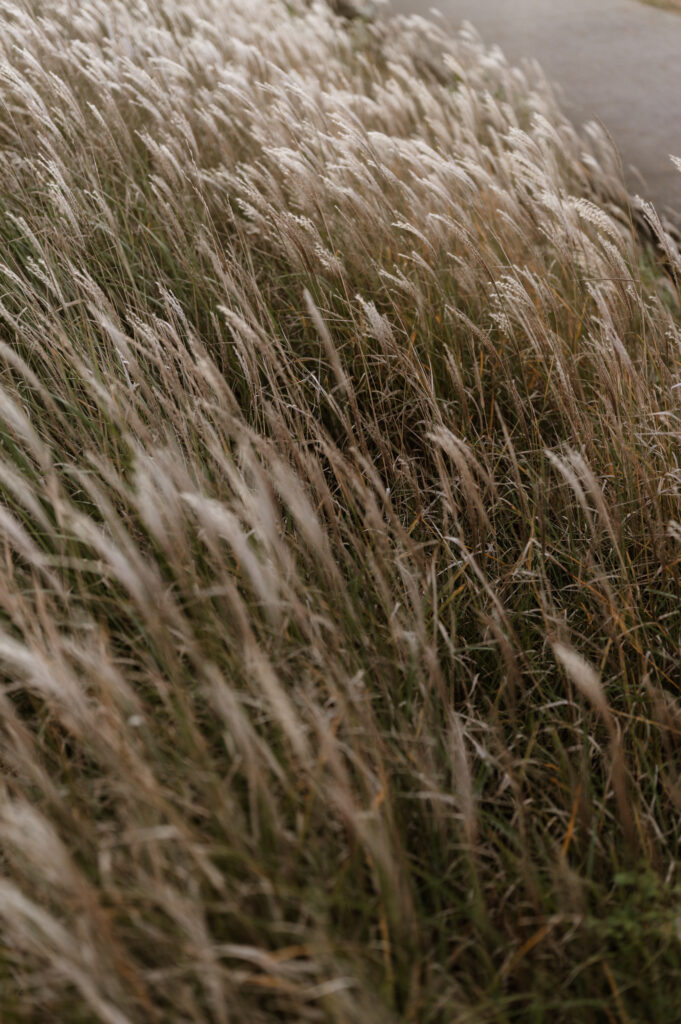Conseils pour une séance engagement